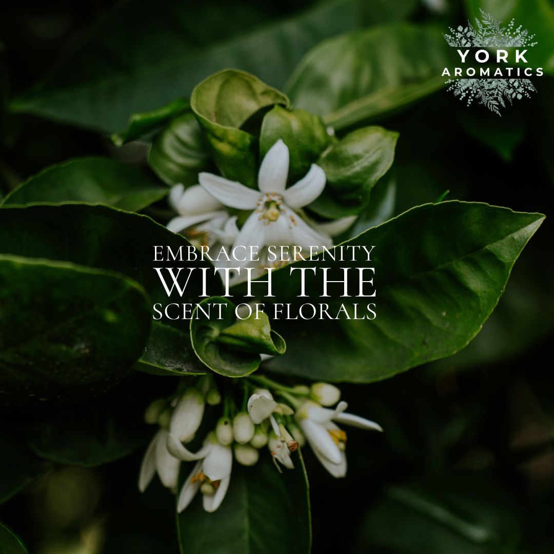 Serenity Scent Collection