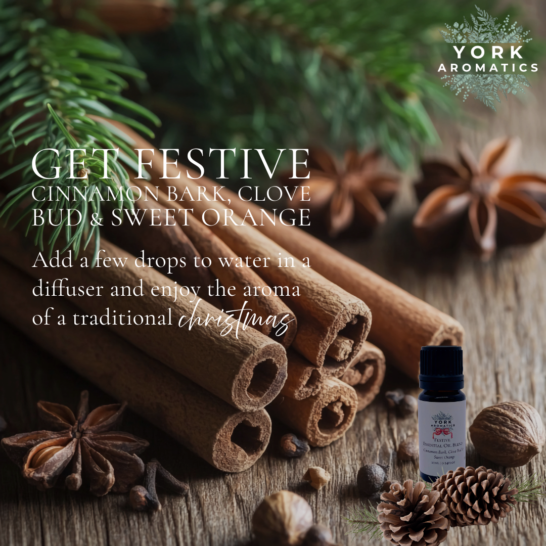 Festive Christmas Oil