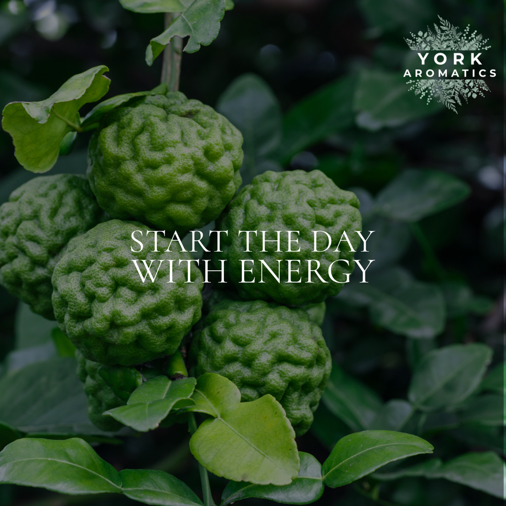 Radiance Diffuser Oil