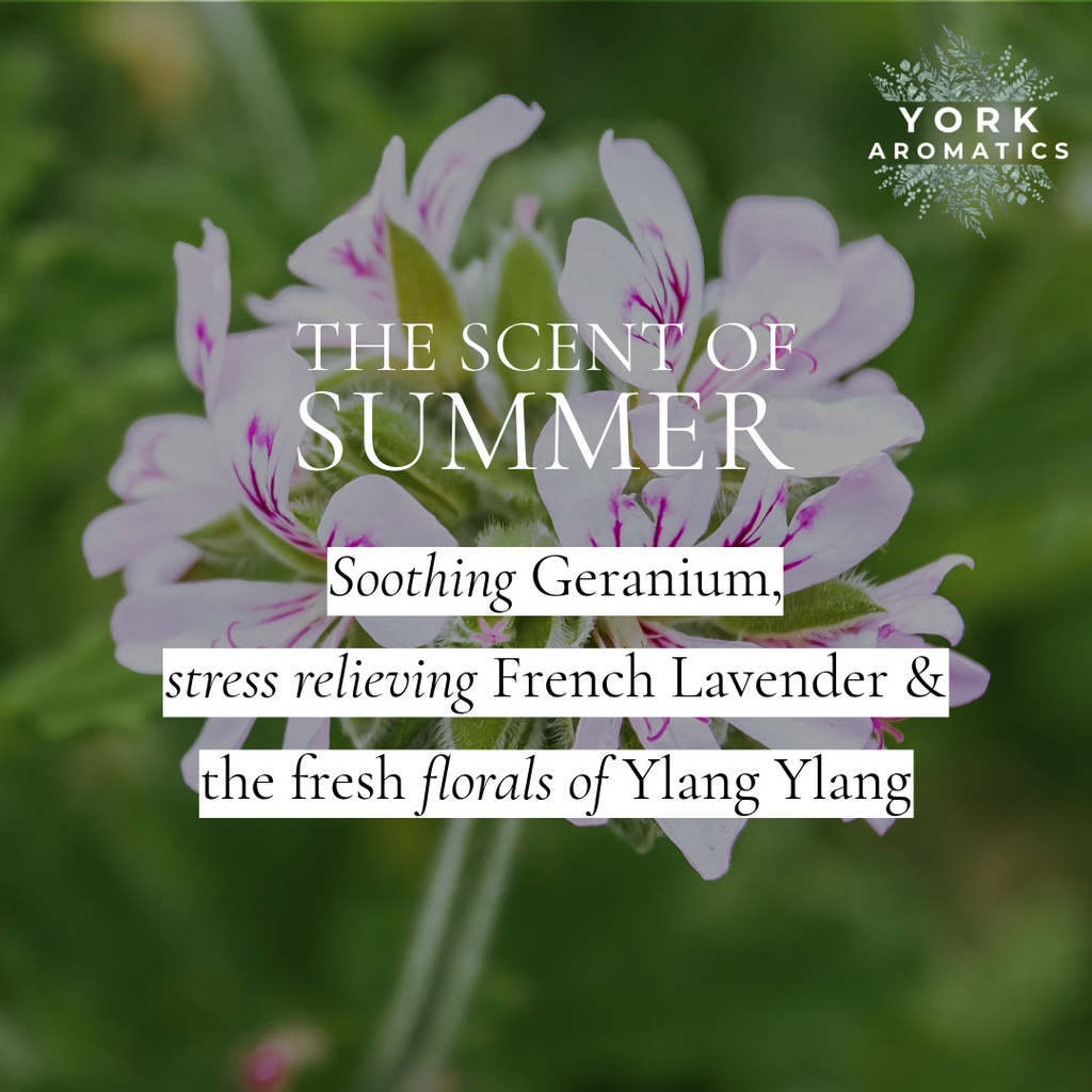 Scent of Summer- Limited Edition