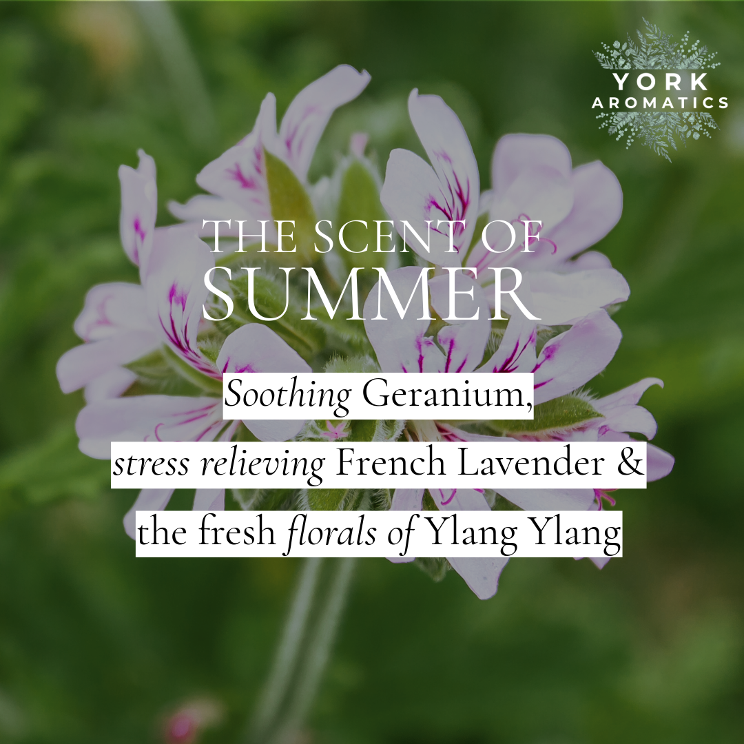 Scent of Summer- Limited Edition