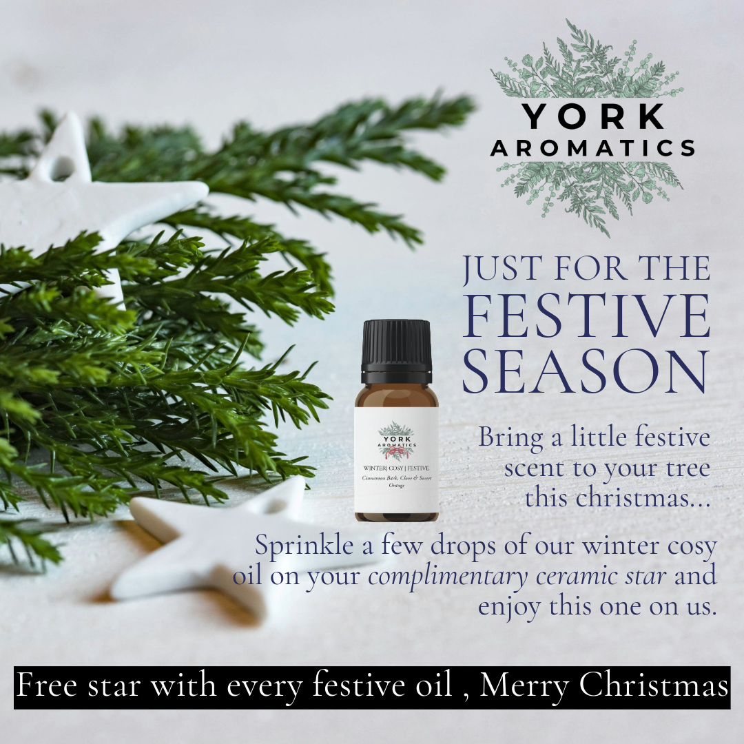 Festive Christmas Oil