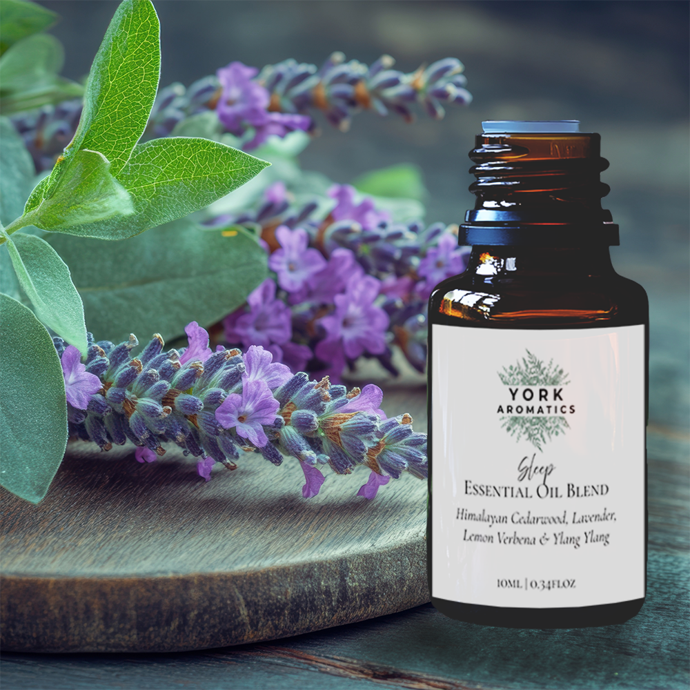 Sleep Diffuser Oil 10ML